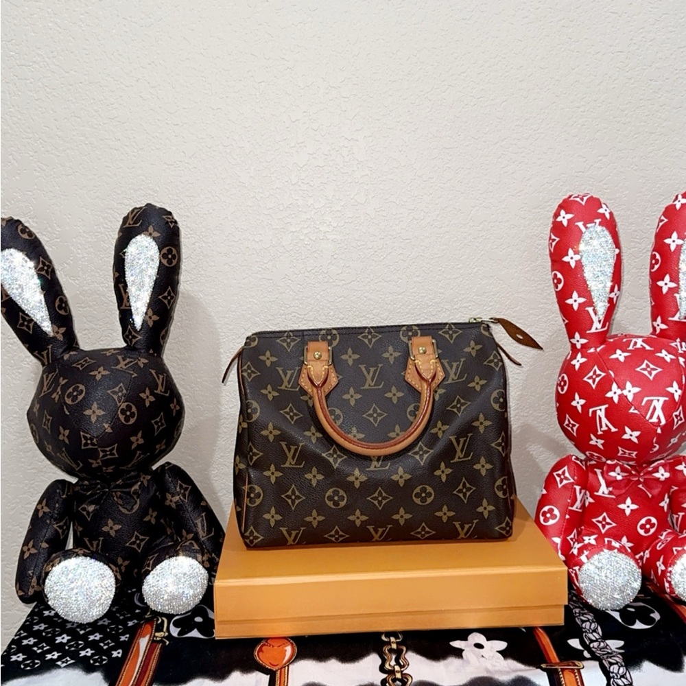 Authentic speedy 25 monogram comes with dust bag